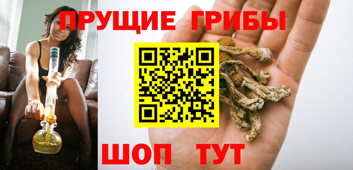 Галлюциногенные грибы Cubensis  Вход с VPN  Фрязино 